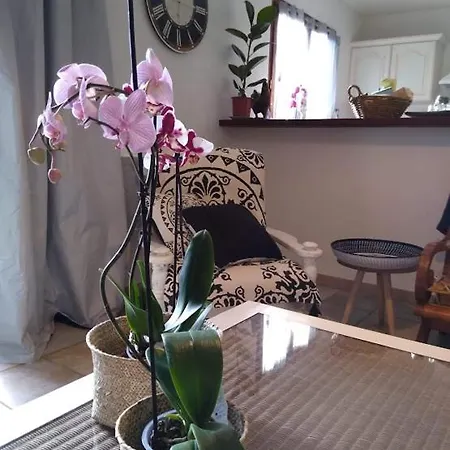 Gite Avec Vue Imprenable Sur La Cite Holiday home *